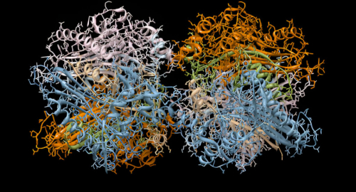 AlphaFold3: Una Rivoluzione Aperta nella Previsione delle Strutture Proteiche